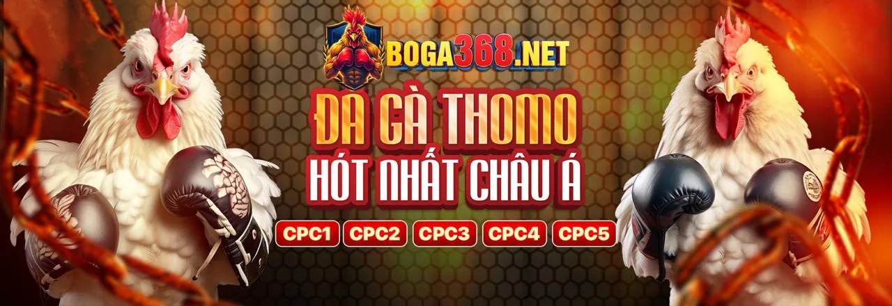 Sân vận động lớn với giao diện cá cược thể thao 12vegas com 12